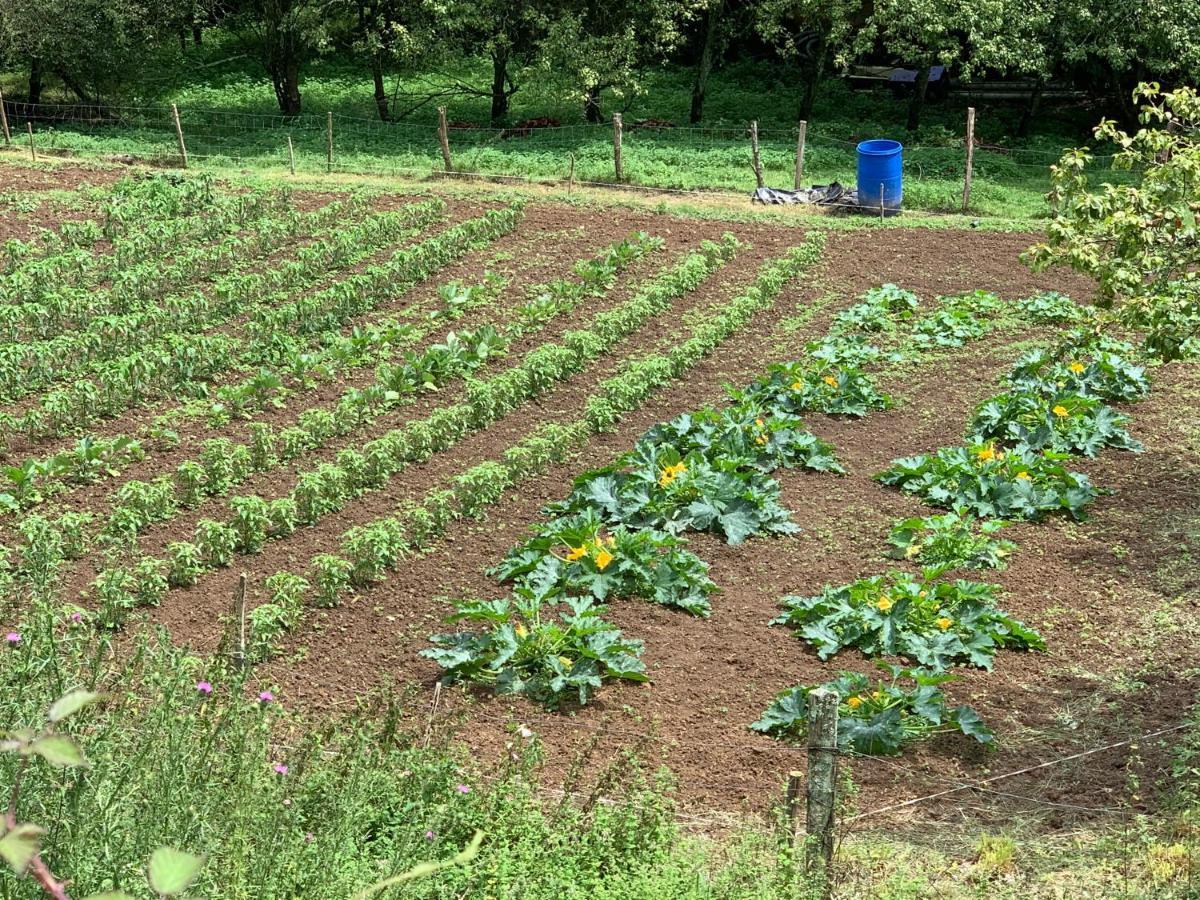 Gautegiz Arteaga Agroturismo Urresti מראה חיצוני תמונה