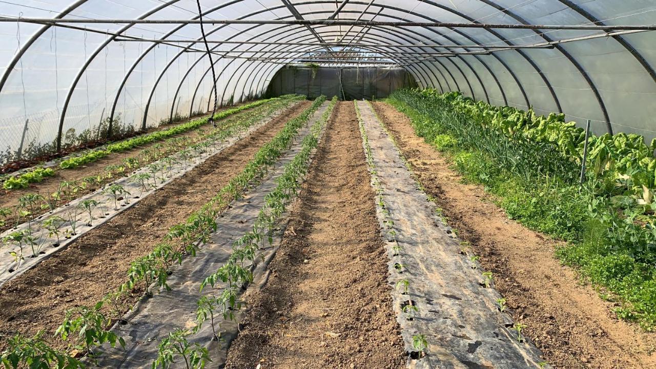 Gautegiz Arteaga Agroturismo Urresti מראה חיצוני תמונה