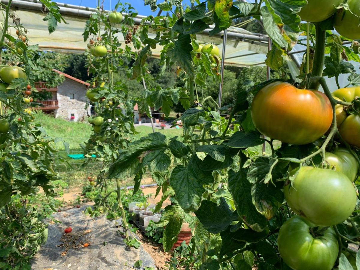 Gautegiz Arteaga Agroturismo Urresti מראה חיצוני תמונה