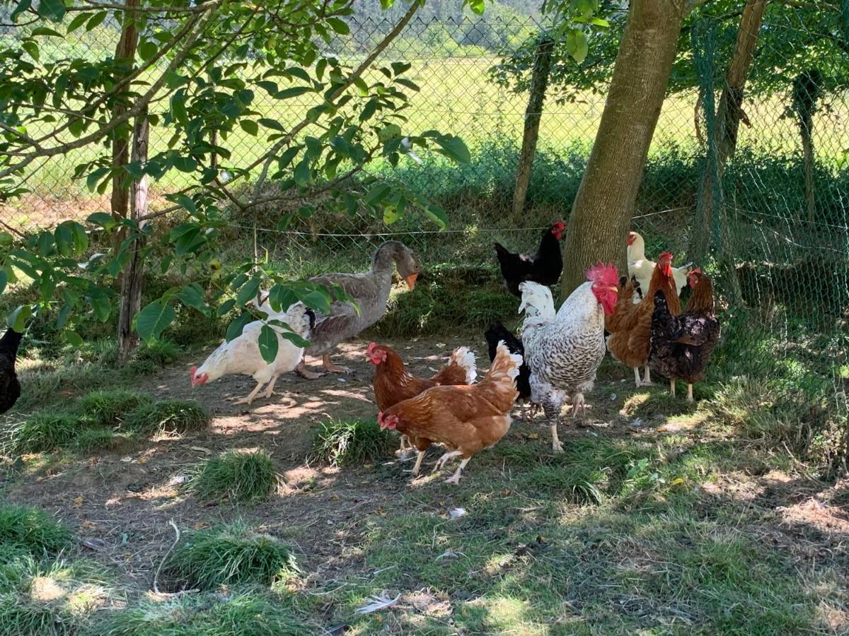 Gautegiz Arteaga Agroturismo Urresti מראה חיצוני תמונה