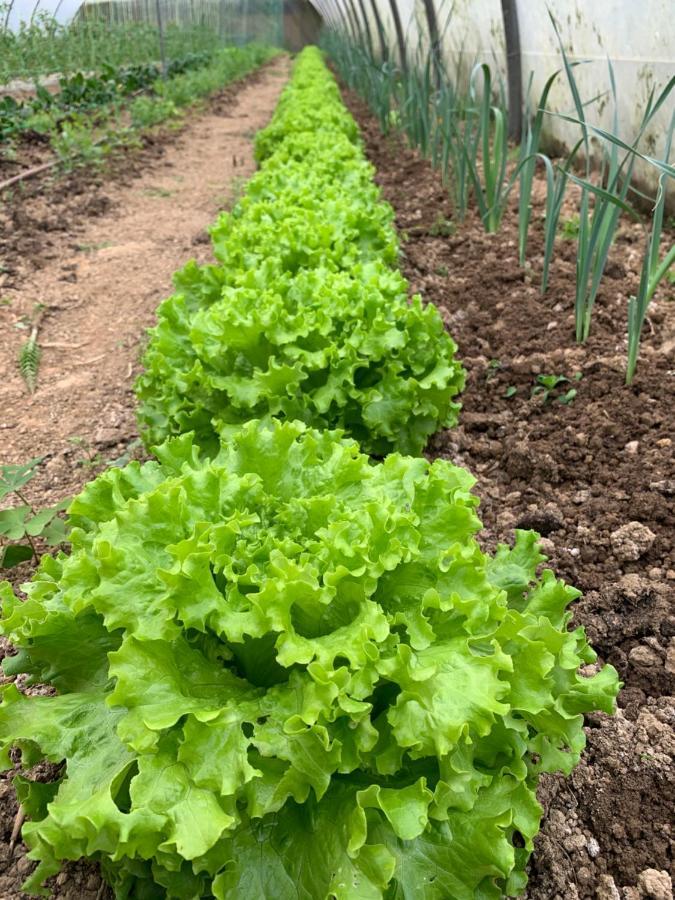 Gautegiz Arteaga Agroturismo Urresti מראה חיצוני תמונה