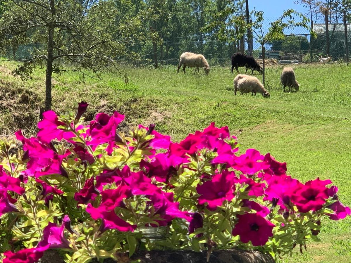 Gautegiz Arteaga Agroturismo Urresti מראה חיצוני תמונה